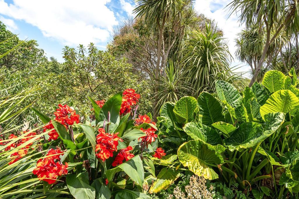Oneroa Bay Villa Waiheke Экстерьер фото