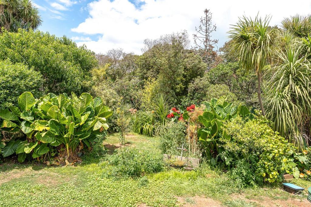 Oneroa Bay Villa Waiheke Экстерьер фото