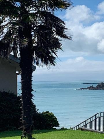 Oneroa Bay Villa Waiheke Экстерьер фото